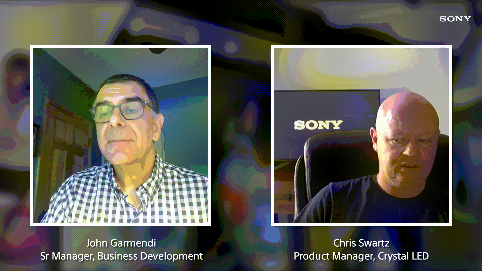 Sony case study